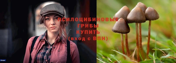 ПСИЛОЦИБИНОВЫЕ ГРИБЫ Лихославль