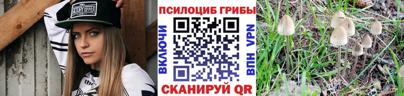 закладки  дарк нет телеграм  Галлюциногенные грибы прущие грибы  Козельск 